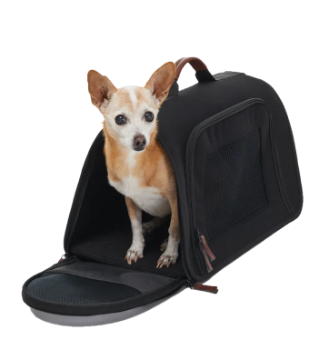 Explore new arrivals